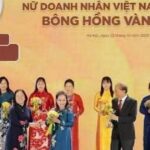 Tinh bột nghệ Vĩnh Linh – khi sản vật quê nhà trở thành hành trình khởi nghiệp bền bỉ