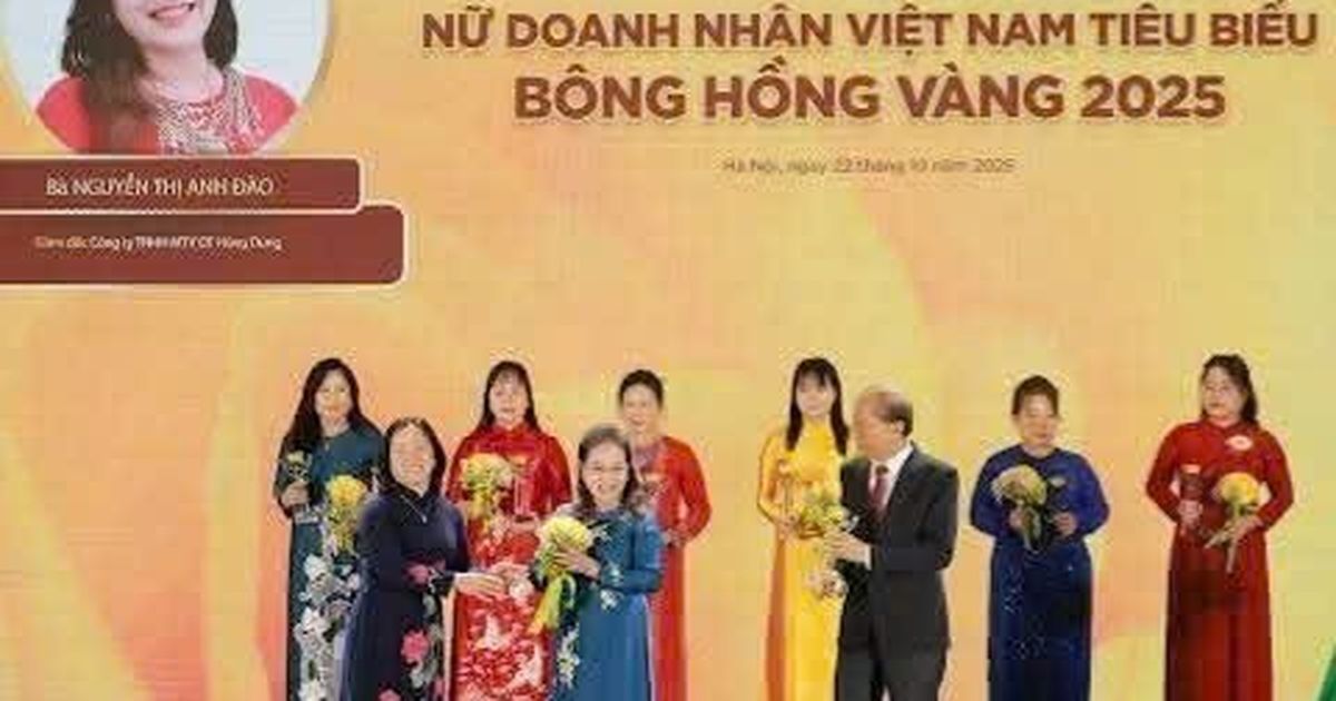 Tinh bột nghệ Vĩnh Linh – khi sản vật quê nhà trở thành hành trình khởi nghiệp bền bỉ