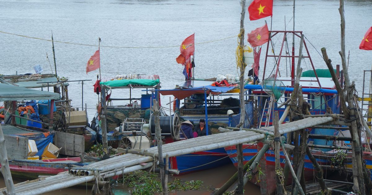 Cảng cá Tân Sơn – điểm tựa của ngư dân miền biển