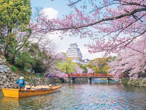 “Bách thiện hiếu vi tiên” 2026 tại Đền Cô Bé Ngai Vàng: Một ngày hội của tri ân và kết nối gia đình