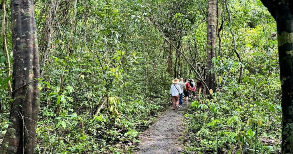 Gợi ý 7 trải nghiệm không thể bỏ lỡ ở Vườn quốc gia Cát Tiên