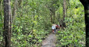 Gợi ý 7 trải nghiệm không thể bỏ lỡ ở Vườn quốc gia Cát Tiên