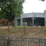 Bùi Linh Chi gây ấn tượng với vai diễn Thúy Quỳnh trong phim “Vì mẹ anh phán chia tay”