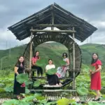 Sun World Ha Long rực rỡ toả sáng trong lòng Di sản