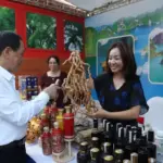 Sun Group khai trương tổ hợp giải trí ẩm thực đêm VUI-Fest Ha Long