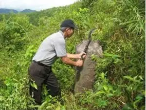 Công nghiệp văn hóa trước cơ hội bứt phá trong kỷ nguyên số