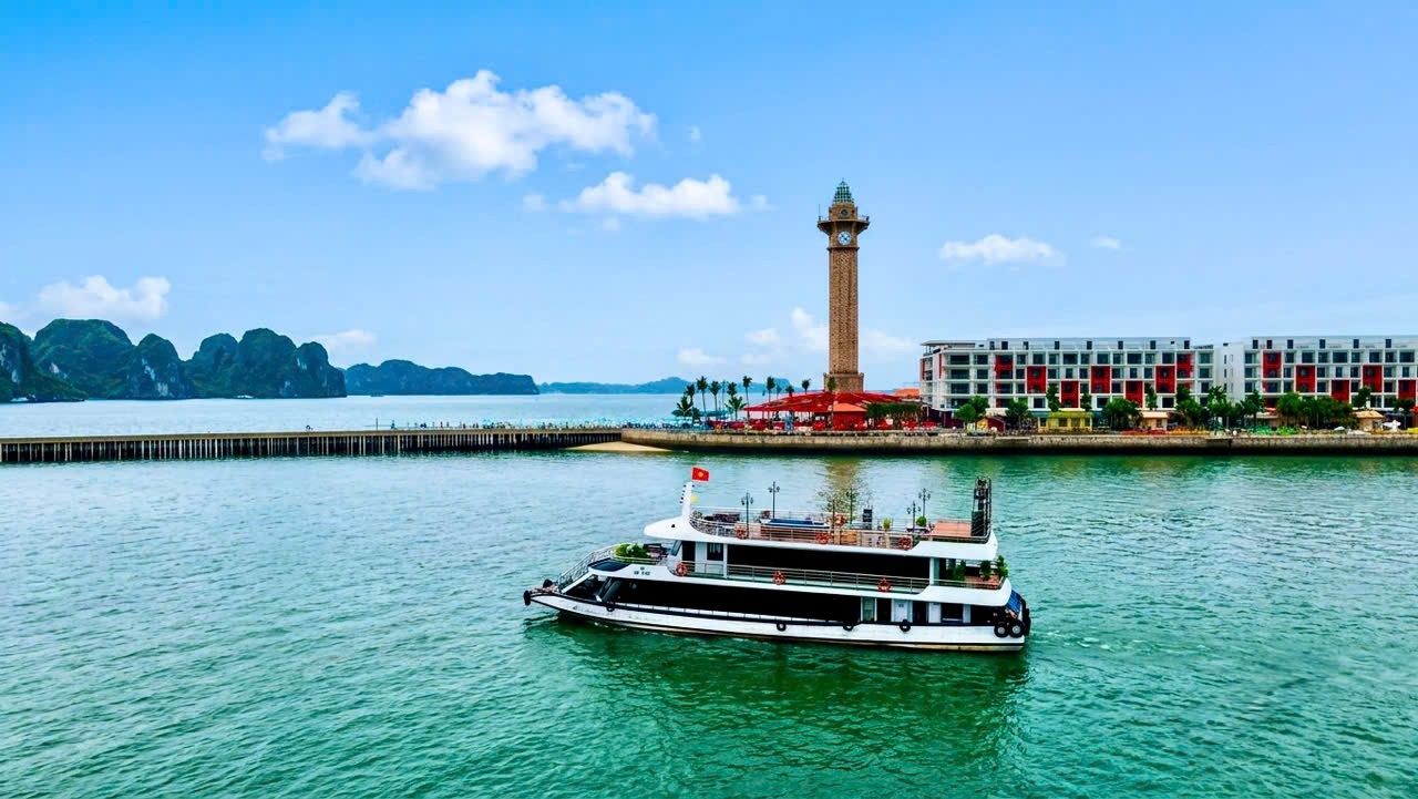 7-tau-cty-quang-nam-1783779192 7-tau-cty-quang-nam-1783779192.jpg