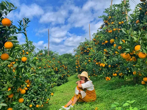 3 cực tăng trưởng cốt lõi để đưa Khánh Hòa lên Thành phố Trung ương