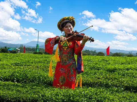 Đại học Hạ Long nguồn lực chất lượng cao cho phát triển kinh tế xanh Việt Nam