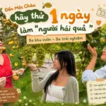 Từ những chuyến nghỉ ngắn ngày đến xu hướng khám phá địa phương