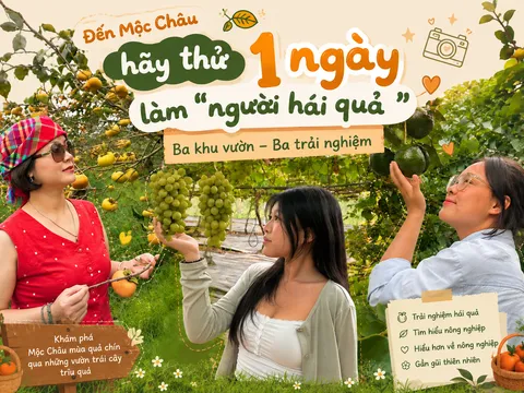 Từ những chuyến nghỉ ngắn ngày đến xu hướng khám phá địa phương