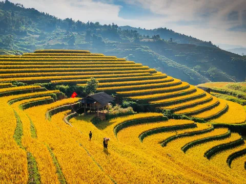 Lễ hội Thành Tuyên 2026 với nhiều hoạt động văn hóa, thể thao đặc sắc