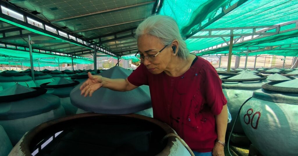 Theo chân nghề làm nước mắm ở Phan Thiết: Những mảnh ghép đưa chất lượng ra khỏi nhà lều (kỳ 2)
