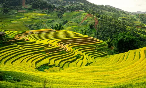Hàng Châu (Trung Quốc) vào mùa đẹp, điểm hẹn mới của sao Việt