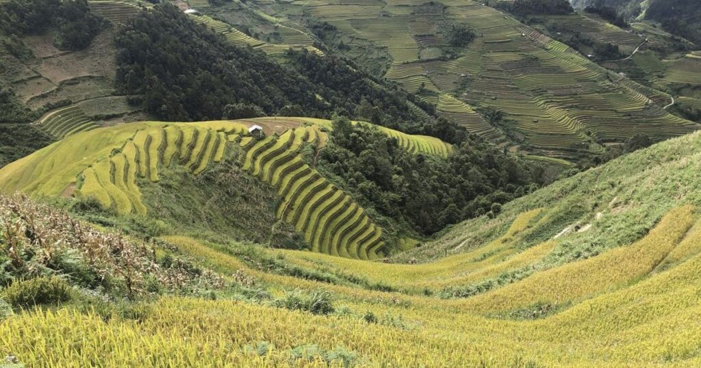 Mù Cang Chải: Đi tìm mùa vàng trên những cung đường dốc